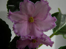 DSCN8165
