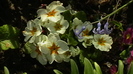 IMGA0859