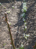 P1210207