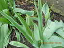 DSCN0598