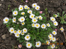 DSCN0571