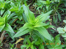DSCN0583