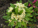 DSCN0584