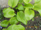 DSCN0597