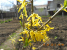 DSCN0620