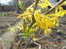 DSCN0621