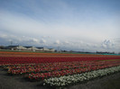 IMG_9059 - Copy
