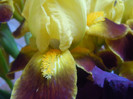 DSCN7572