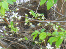 DSCN2578