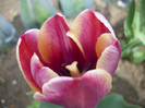 P1000405