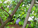DSCN3012