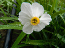 DSCN3017