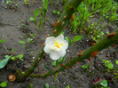DSCN3019