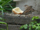 DSCN3027