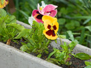 DSCN3059