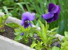 DSCN3060