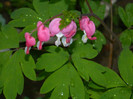 DSCN3069