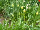 DSCN3128