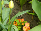 DSCN3144