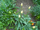 DSCN3408