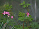 DSCN3415