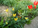 DSCN3418