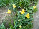 DSCN3419
