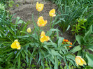 DSCN3435