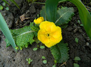 DSCN3438