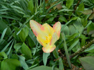 DSCN3444