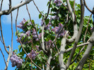 DSCN3461