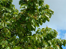 DSCN3462