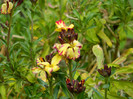 DSCN3467