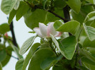 DSCN3482