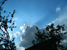 DSCN3491