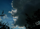 DSCN3501