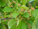 DSCN3504