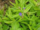 DSCN3515