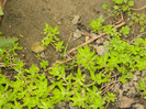 DSCN3525