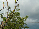 DSCN3527