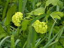 DSCN3539