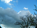 DSCN3545
