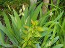 DSCN3551
