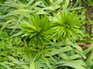 DSCN3561