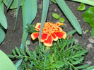 DSCN3562