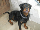 22.04.2012-7 luni