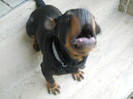 22.04.2012-7 luni