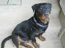 22.04.2012-7 luni