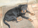 22.04.2012-7 luni