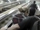 Demi Lovato No Aeroporto - Brasil 18.04.2012 (702)